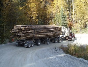 Law Firm Representing Victims of Log Carrying Truck Accidents