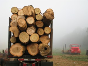Log truck accident lawsuit