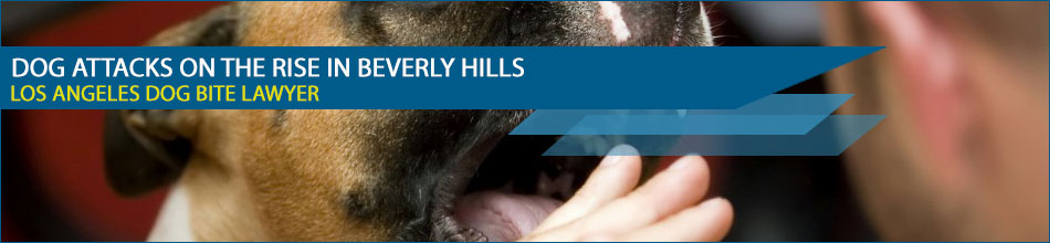 Dog Attacks on the Rise in Beverly Hills