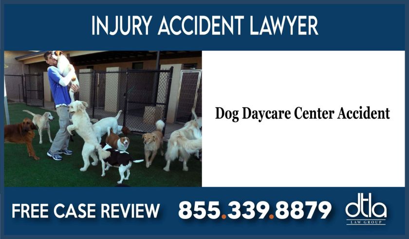 Dog Daycare Center Accident Attorney In California lawyer sue lawsuit compensation liability