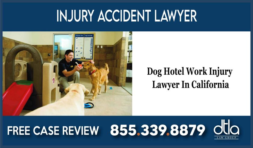 Dog Hotel Work Injury Lawyer In California injury incident lawyer attorney compensation lawsuit