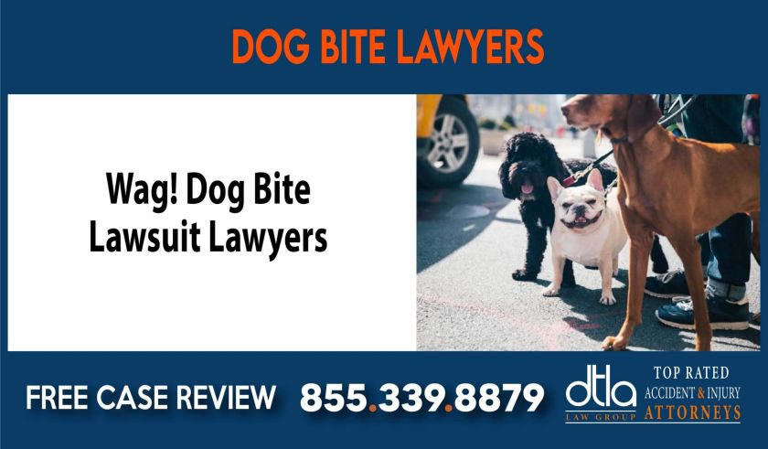 Wag Dog Bite Lawsuit Lawyers incident attorney compensation sue