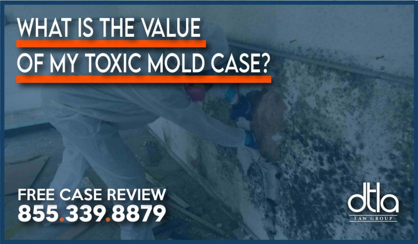 What Is the Value of My Toxic Mold Case lawyer attorney better sue compensation liability apartment