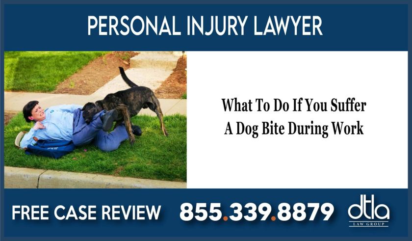 What To Do If You Suffer A Dog Bite During Work liability lawyer attorney sue lawsuit