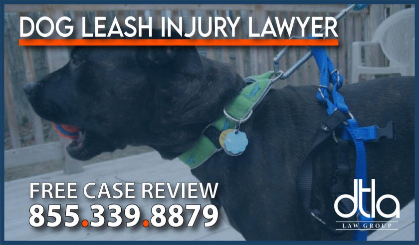 dog leash injury attorney sue compensation lawsuit lawyer defective defect incident accident
