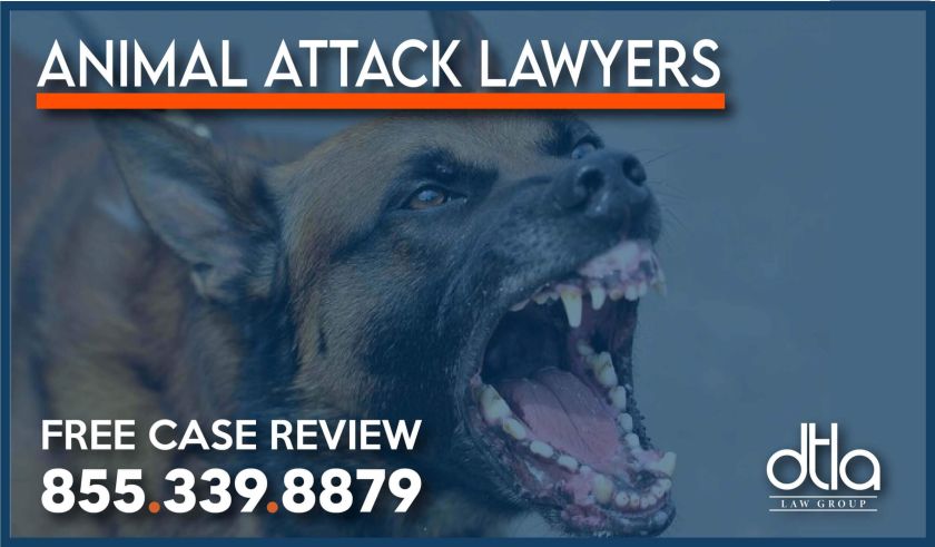 Los Angeles Animal Attack Attorneys sue lawsuit lawyer dog bite