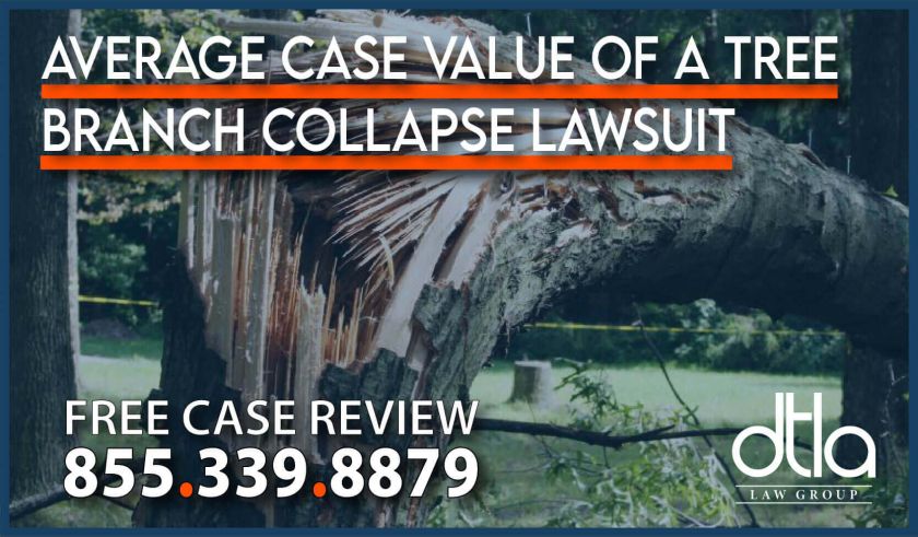 Average Case Value of a Tree Branch Collapse Lawsuit lawyer attorney sue compensation liability