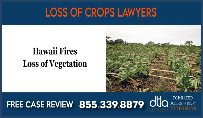 Hawaii Fires Loss of Vegetation Loss of Crops Attorney sue lawsuit