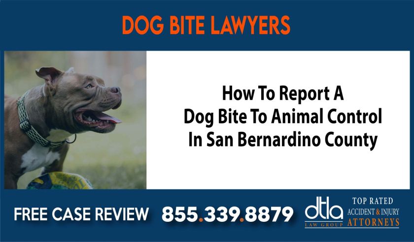 How To Report A Dog Bite To Animal Control In San Bernardino County sue liability lawyer attorney