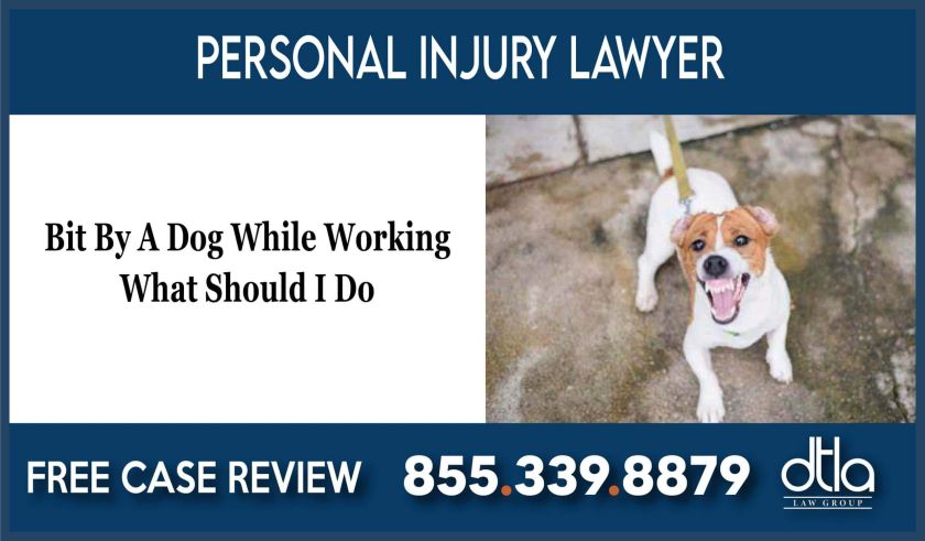 Bit By A Dog While Working What Should I Do lawyer attorney lawsuit sue