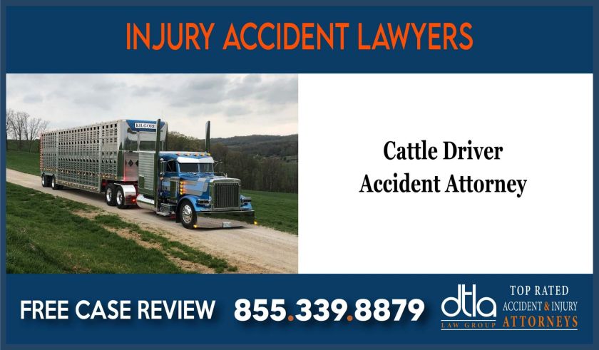 cattle driver injury accident lawyer attorney sue lawsuit compensation incident