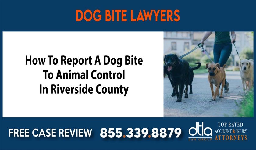 How To Report A Dog Bite To Animal Control In Riverside County sue liability lawyer attorney