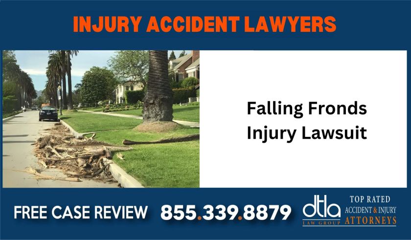 Falling Fronds Injury Lawsuit sue liability lawyer attorney compensation liable incident