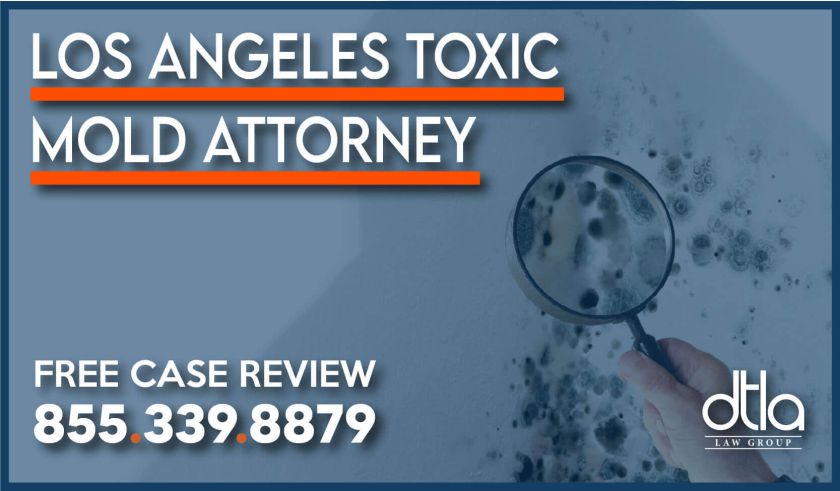 Los Angeles Toxic Mold Attorney Home and Apartment Injury Lawyer sue compensation lawsuit