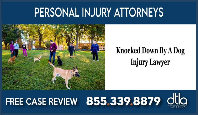 Knocked down by a Dog Injury Lawyer incident attorney liability compensation lawsuit sue