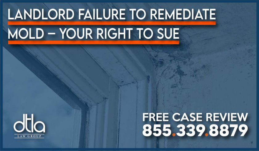 Landlord Failure to Remediate Mold – Your Right to Sue attorney lawsuit lawyer habitability