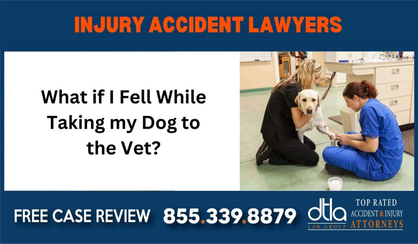 Veterinarian Slip and Fall - What if I Fell While Taking my Dog to the Vet sue liability lawyer premise attorney compensation