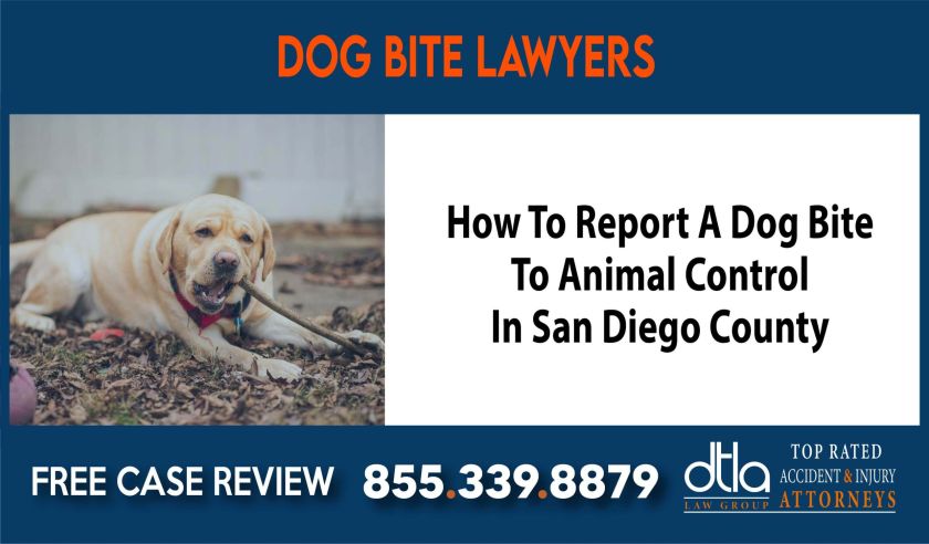 How To Report A Dog Bite To Animal Control In San Diego County sue liability compensation incident 1