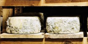 Flat Creek Cheese Salmonella Outbreak – Food Poisoning Lawsuit Info