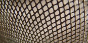 Should I join a class action lawsuit for Transvaginal Mesh Injuries
