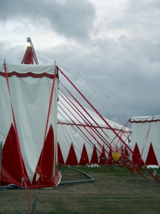 Circus Employee Injuries
