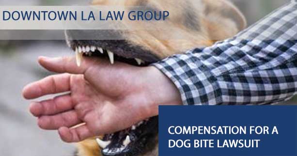 If you file a dog bite lawsuit, the potential for compensation can vary from case to case.