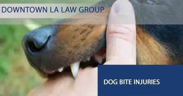 Value of a Dog Bite Lawsuit