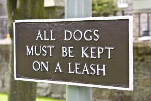 LA County Dog Bite Laws