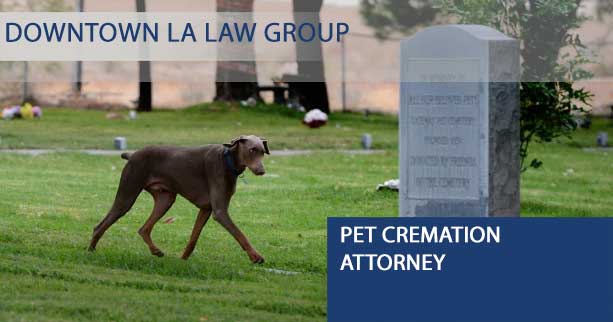 Pet cremation attorney