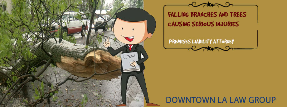 Premises Liability Attorney | Property Owner Fault