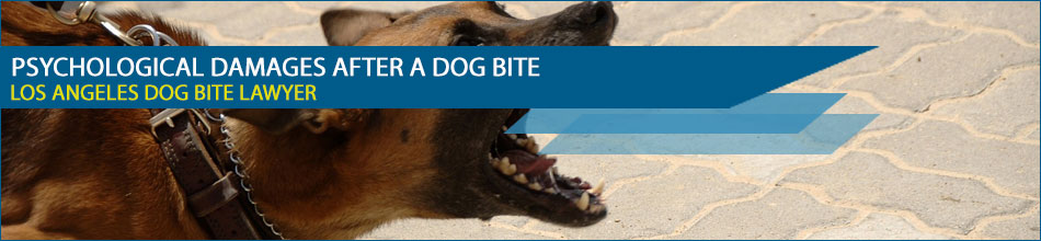 Psychological Damages after a Dog Bite - Can You Sue for Mental Anguish