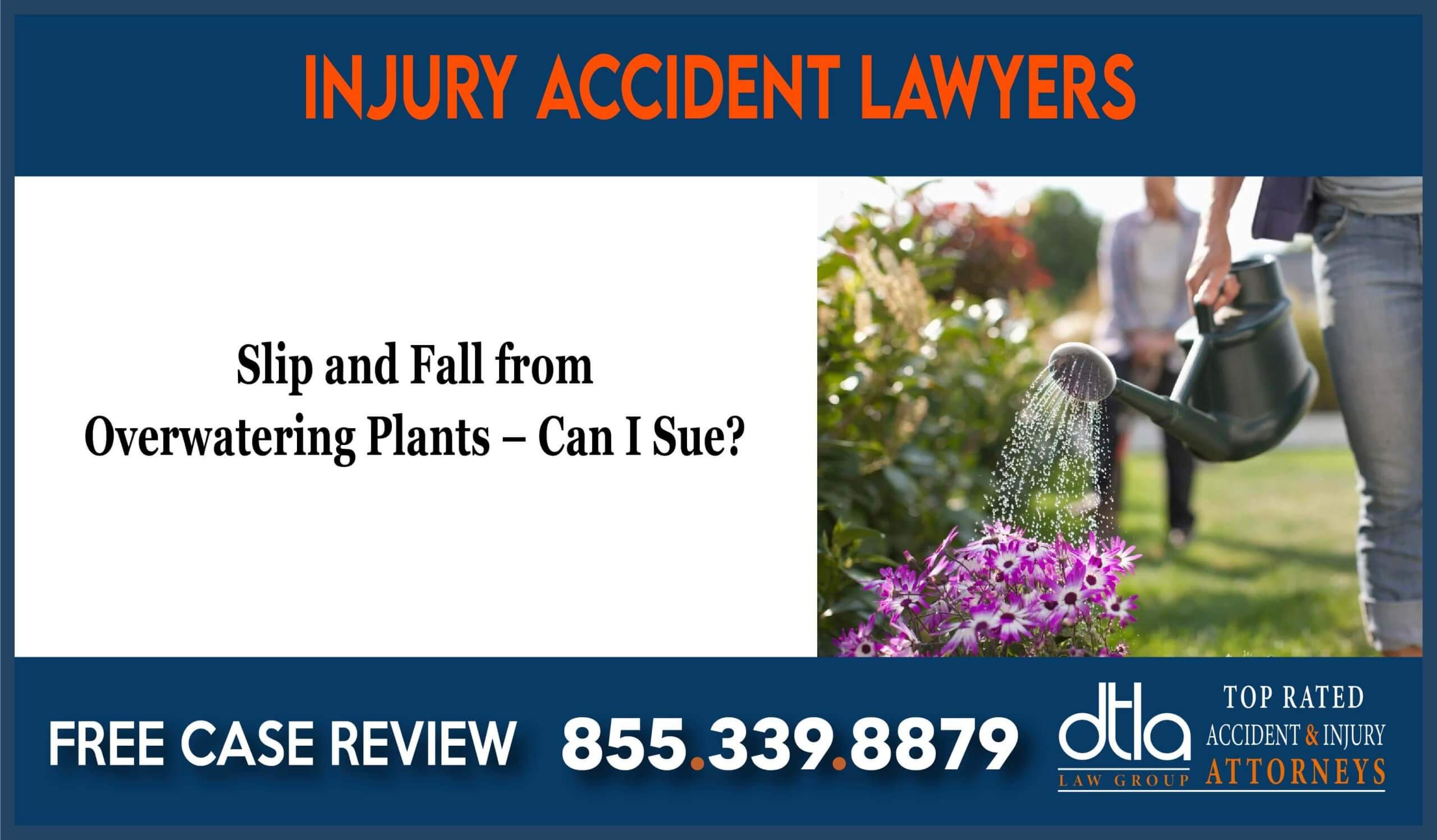 Slip and Fall from Overwatering Plants Can I Sue lawyer attorney compenastion liability