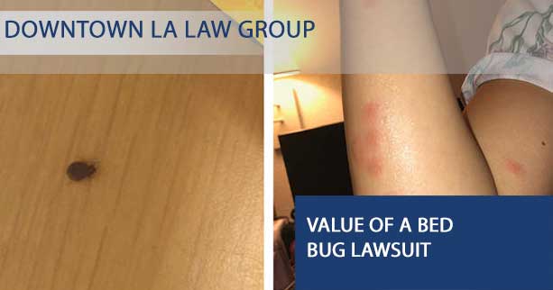 Value of a Bed Bug Lawsuit