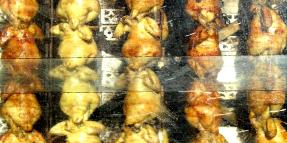 Costco Chicken Salmonella Lawsuit – Foster Farms Contamination