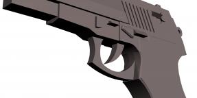 Forensic Samples Find Only Zimmerman DNA on Handgun, Not Martin