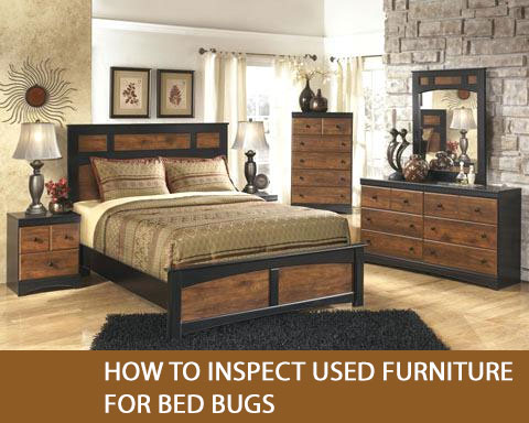 How to inspect used furniture for bed bugs