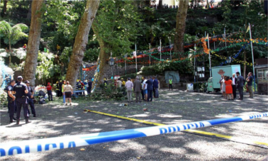 Tree Fall Accident in Madeira, Portugal 8-15-2017