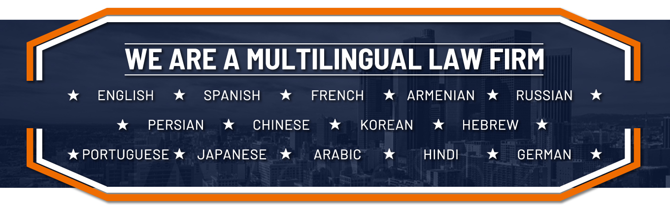 multilingual lawyers2