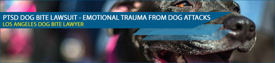 PTSD Dog Bite Lawsuit - Emotional Trauma from Dog Attacks