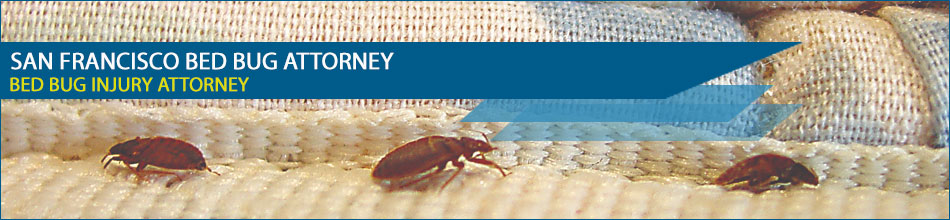San Francisco Bed Bug Attorney - Hotel Apartment Lawsuits